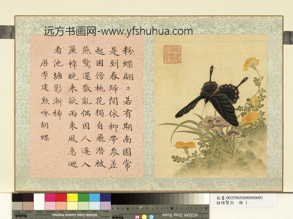 瓞绵繁衍册-画唐李建勋咏胡蝶