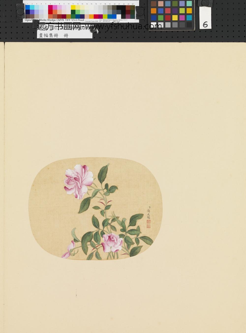 画幅集册册-清蒋廷锡花卉-