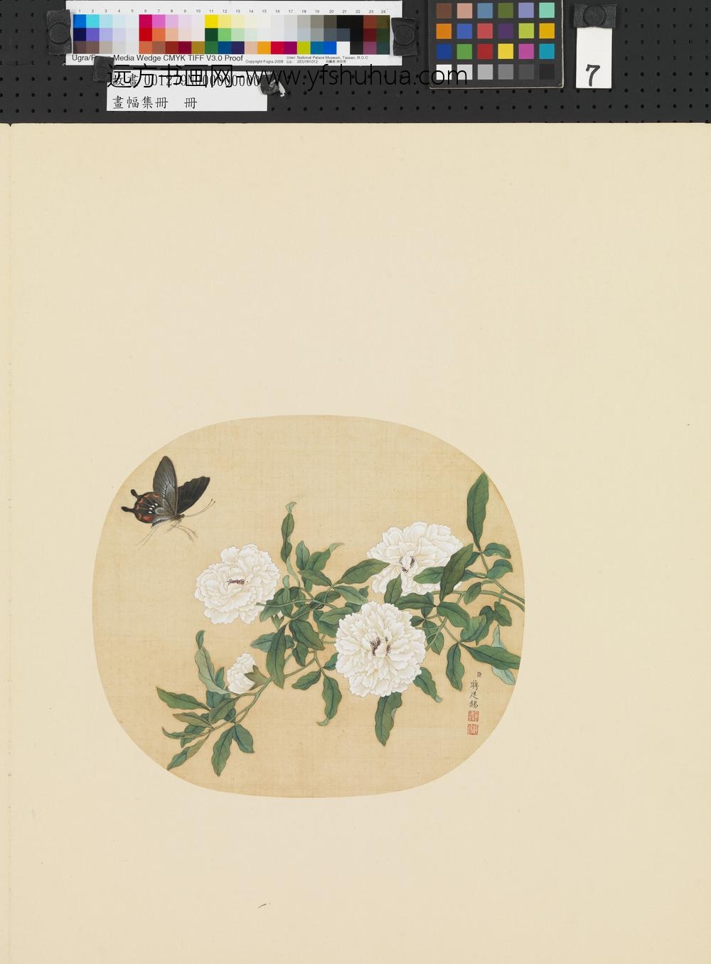 画幅集册册-清蒋廷锡花卉-