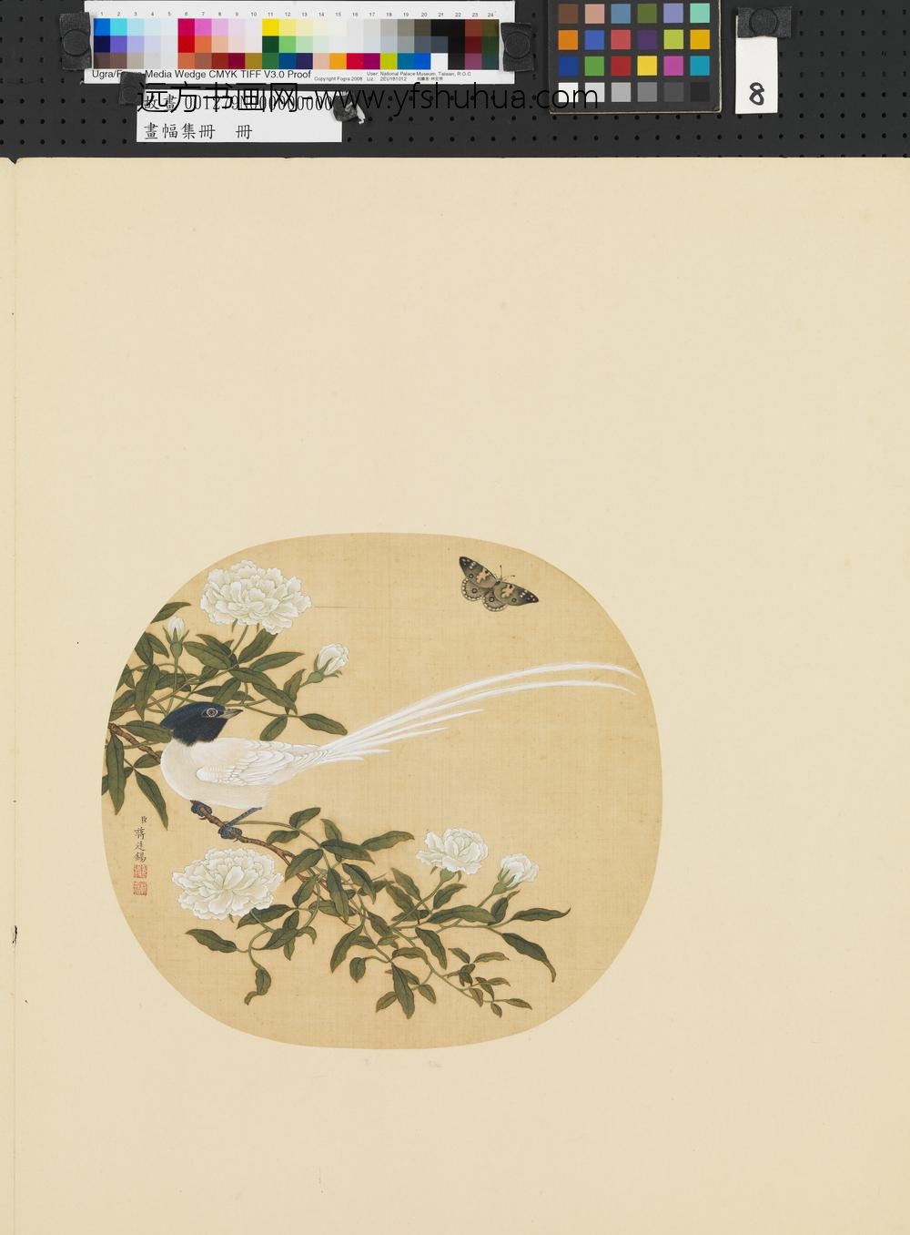 画幅集册册-清蒋廷锡花卉-