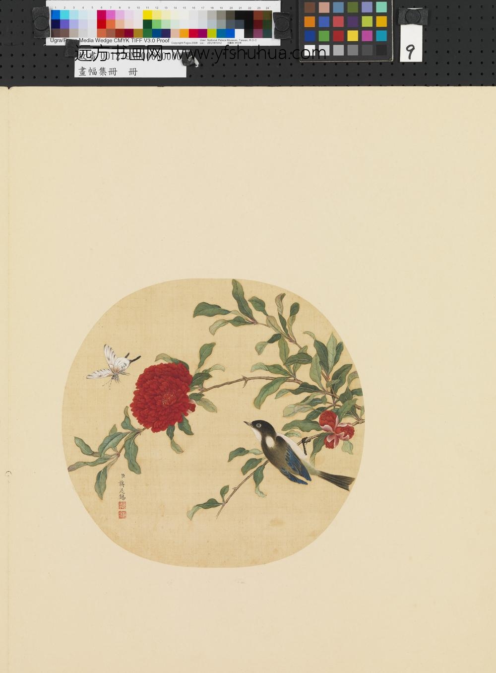 画幅集册册-清蒋廷锡花卉-