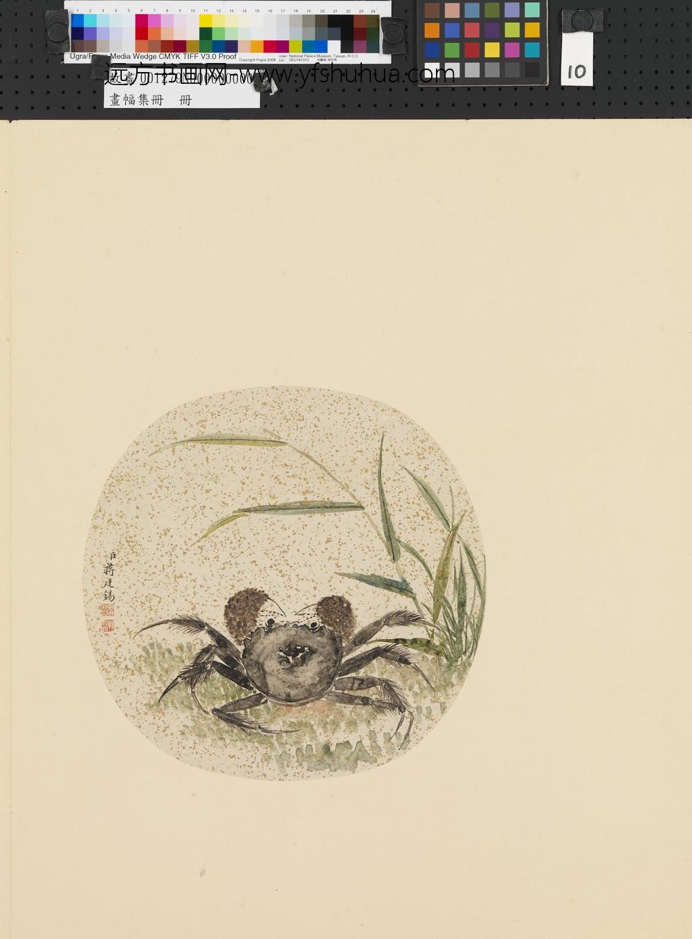 画幅集册册-清蒋廷锡花卉-