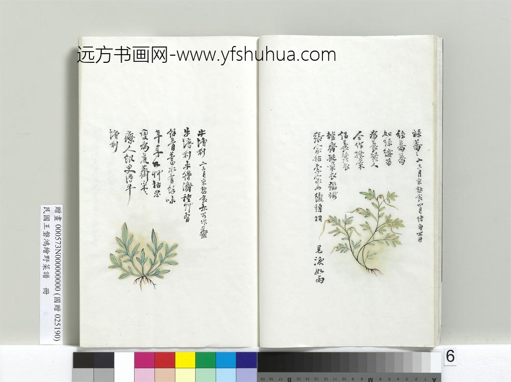 绘王盘野菜谱册-丝荞荞