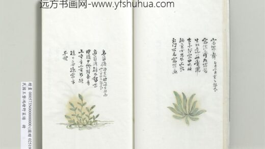 绘王盘野菜谱册 乌蓝担.jpg