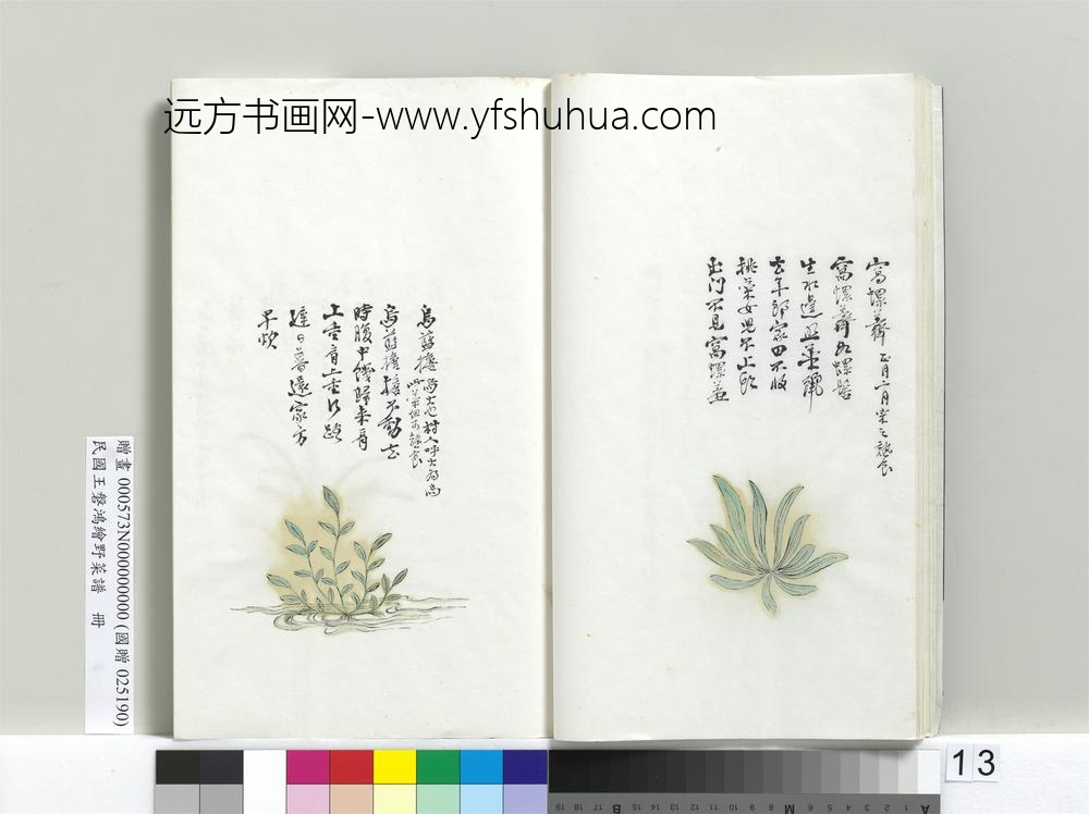 绘王盘野菜谱册-乌蓝担