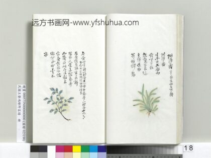 绘王盘野菜谱册 倒灌荠.jpg