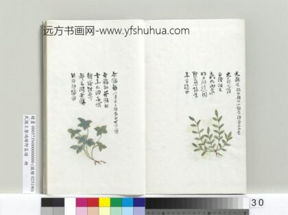 绘王盘野菜谱册 天藕儿.jpg