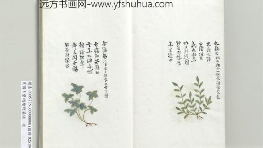 绘王盘野菜谱册 天藕儿.jpg