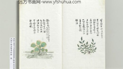 绘王盘野菜谱册 抓抓儿.jpg
