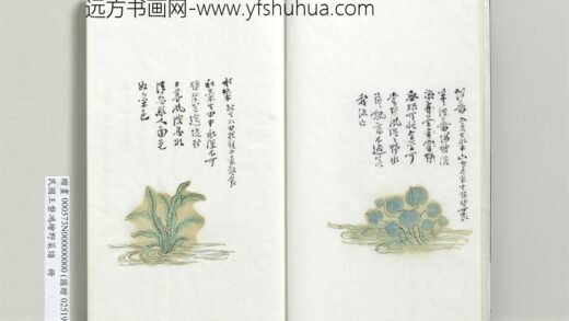绘王盘野菜谱册 水菜.jpg
