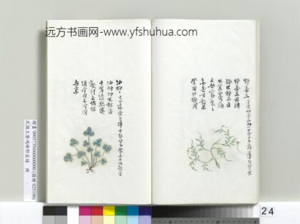 绘王盘野菜谱册 油灼灼.jpg