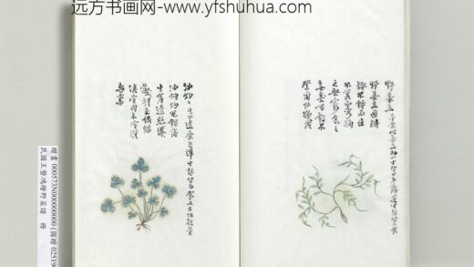 绘王盘野菜谱册 油灼灼.jpg