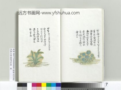 绘王盘野菜谱册 浮蔷.jpg
