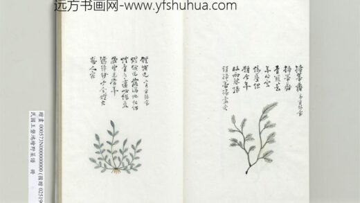 绘王盘野菜谱册 灯蛾儿.jpg