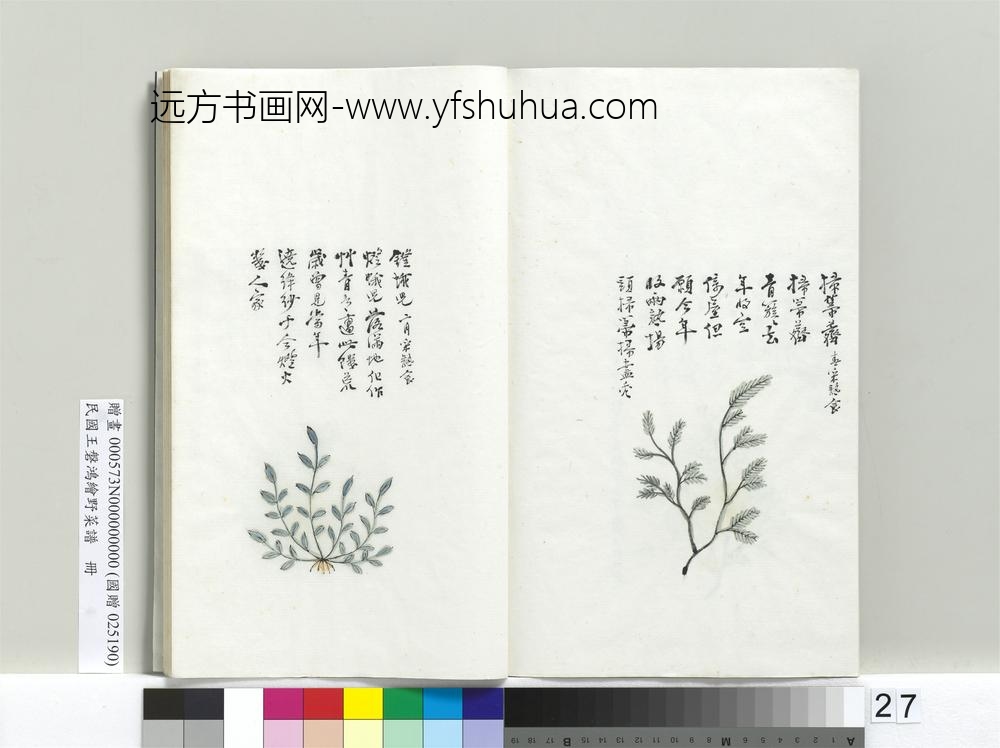 绘王盘野菜谱册-灯蛾儿