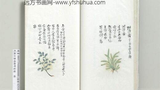 绘王盘野菜谱册 灰条.jpg