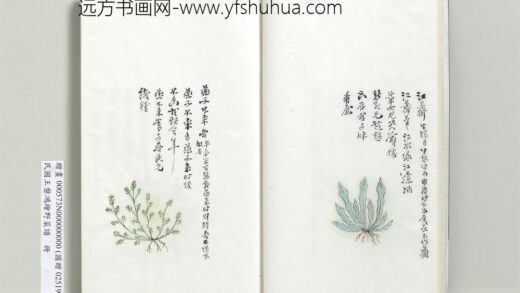 绘王盘野菜谱册 燕子不来香.jpg