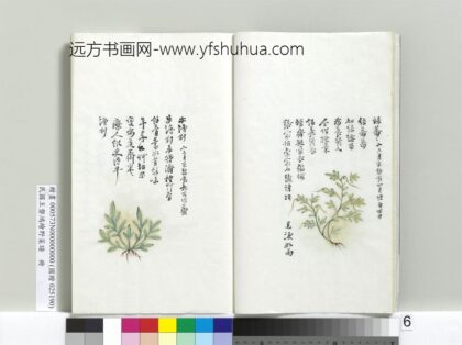 绘王盘野菜谱册 牛塘利.jpg