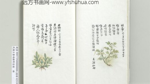 绘王盘野菜谱册 牛塘利.jpg