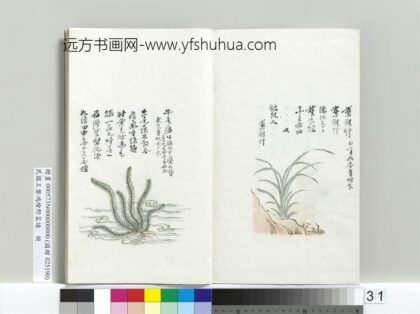 绘王盘野菜谱册 牛尾瘟.jpg