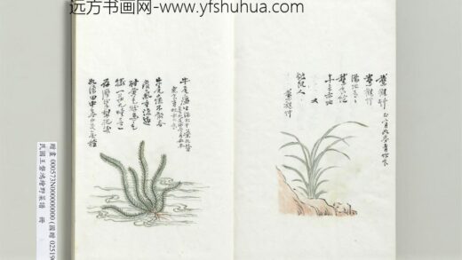 绘王盘野菜谱册 牛尾瘟.jpg