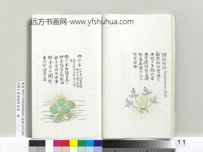 绘王盘野菜谱册 猢狲脚迹.jpg