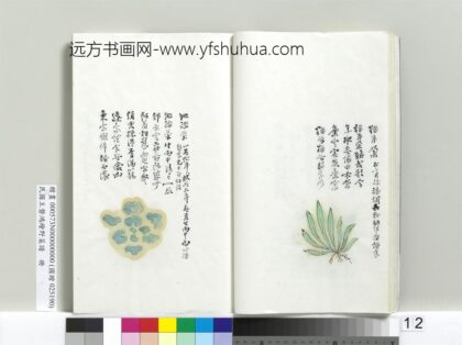 绘王盘野菜谱册 猫耳朶.jpg