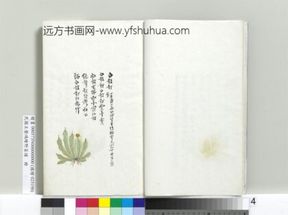 绘王盘野菜谱册 白鼓钉.jpg