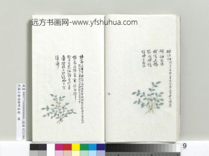 绘王盘野菜谱册 破破衲.jpg