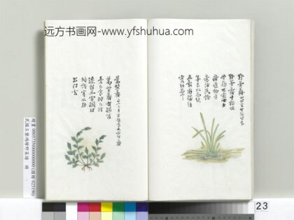 绘王盘野菜谱册 蒿柴荠.jpg