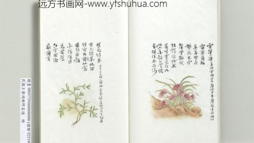 绘王盘野菜谱册 雀儿绵单.jpg