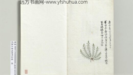 绘王盘野菜谱册 雀舌草.jpg