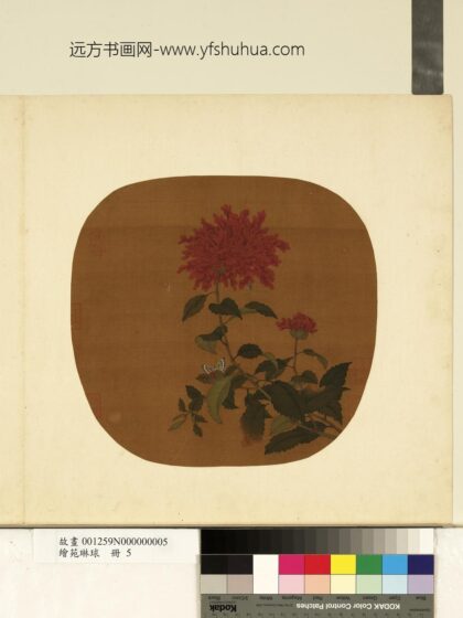 绘苑琳球册 无款花蝶图.jpg