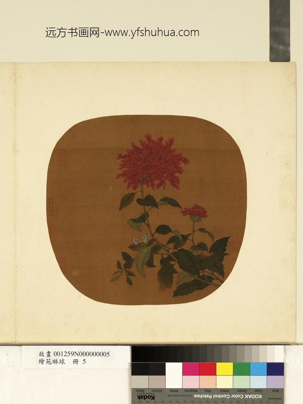 绘苑琳球册-无款花蝶图