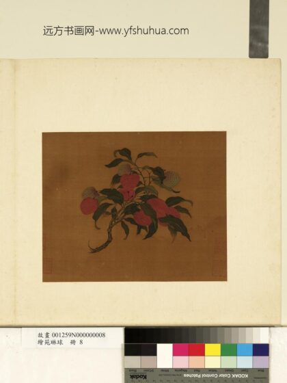 绘苑琳球册 无款荔枝图.jpg