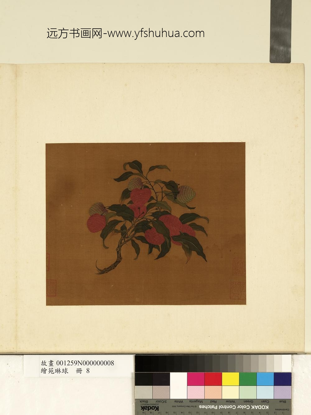 绘苑琳球册-无款荔枝图