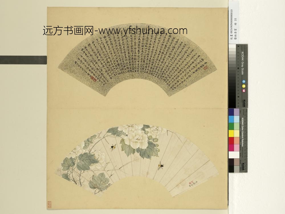 艺林清赏册-清徐恒蜜蜂芙蓉