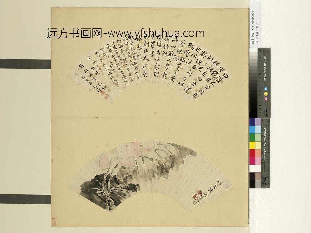 艺林清赏册-清瑛宝画荷