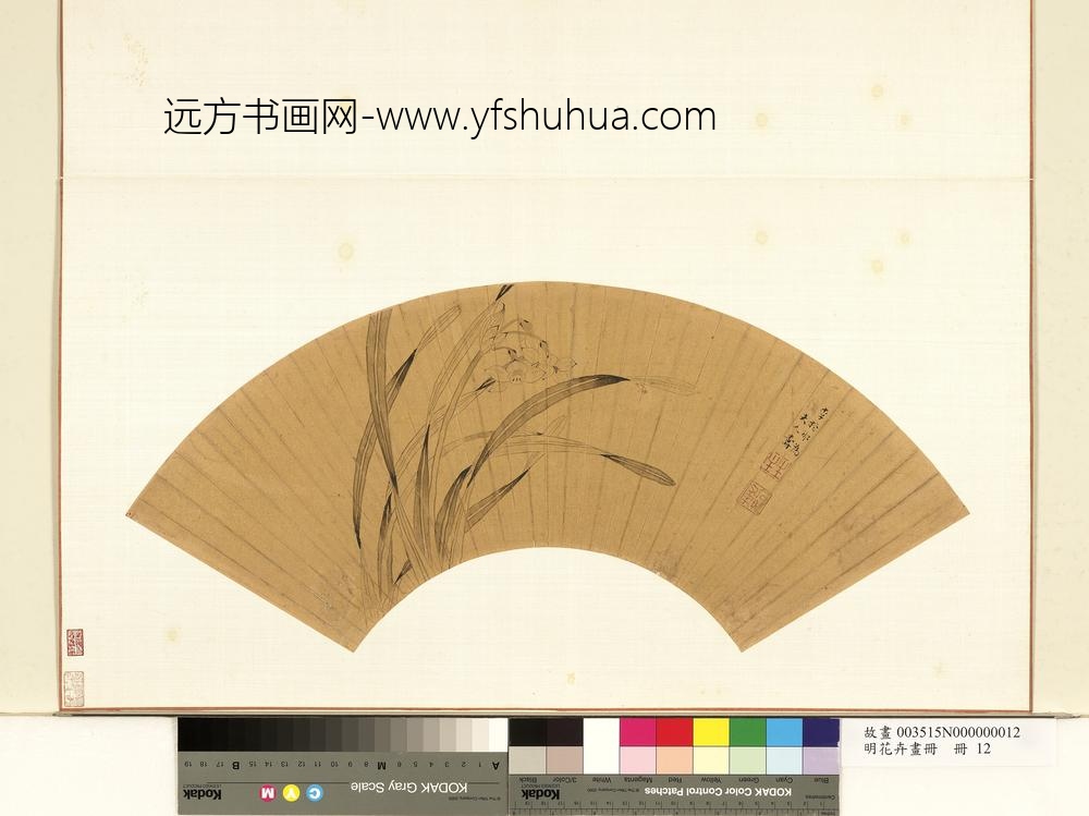 花卉画册册-明李柁那水仙