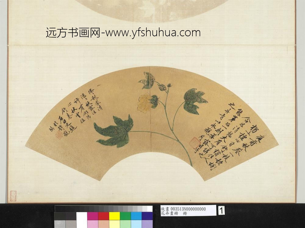 花卉画册册-明沈周秋葵