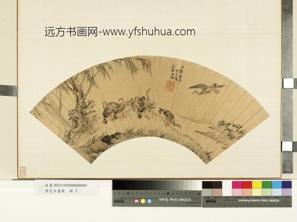 花卉画册册-明王偕芙蓉