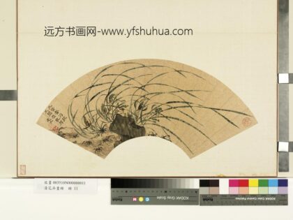 花卉画册册 明王子新兰花.jpg