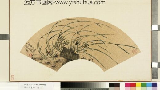 花卉画册册 明王子新兰花.jpg