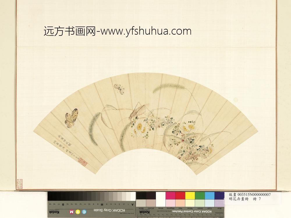 花卉画册册-明王正秋卉图