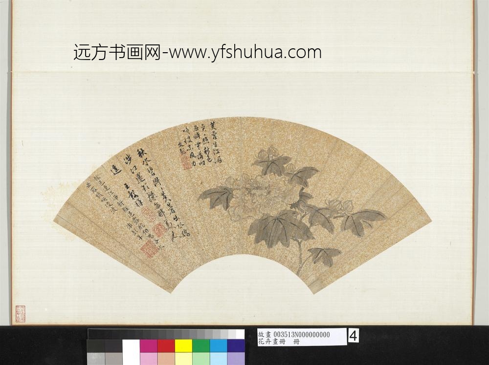 花卉画册册-明王縠祥芙蓉