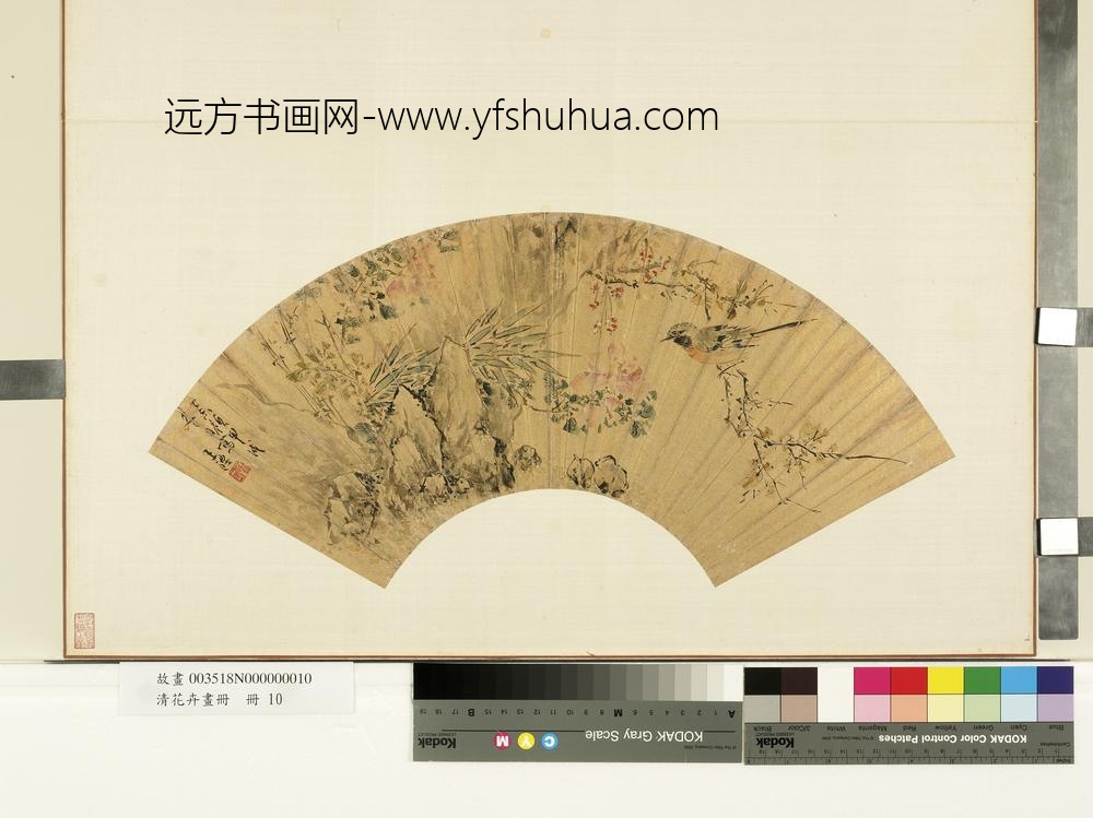 花卉画册册-明王醴月季