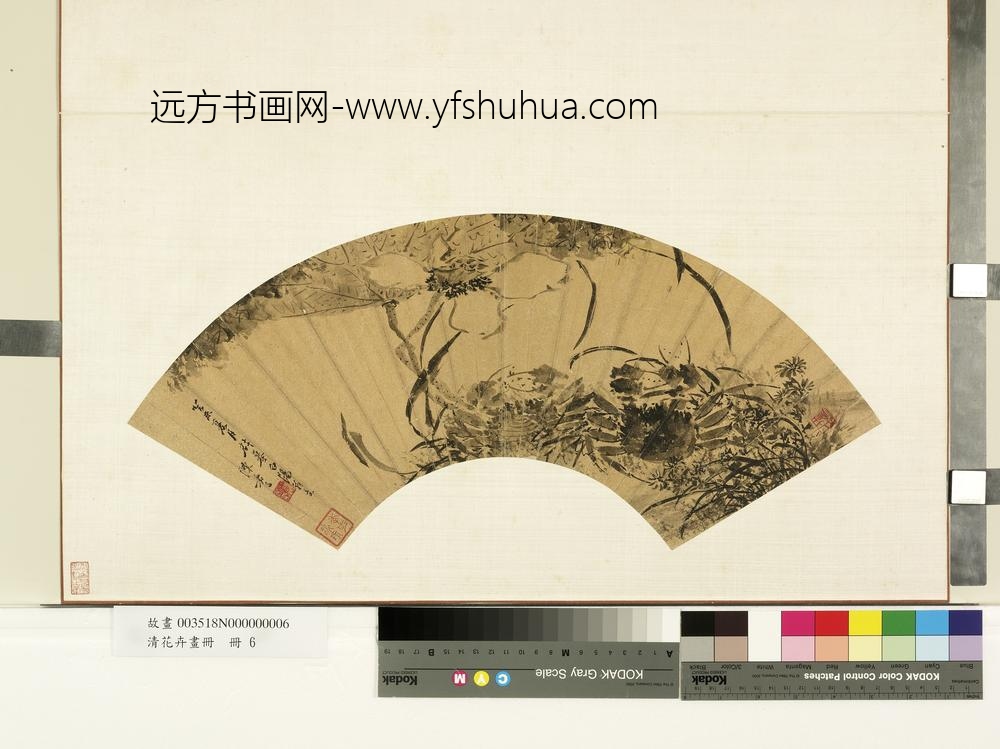 花卉画册册-明陈嘉言莲荷