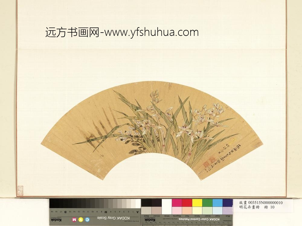 花卉画册册-清张昉兰孙并茂