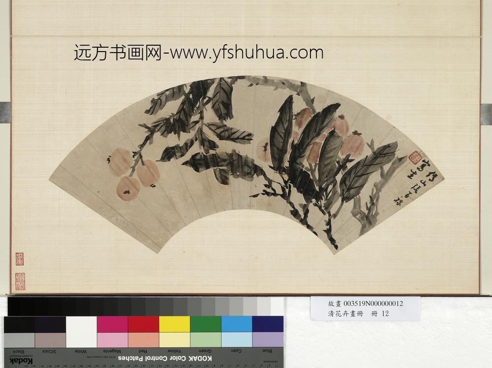 花卉画册册-清张百禄枇杷