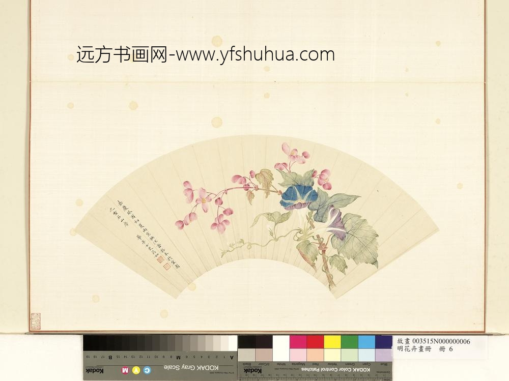 花卉画册册-清张筠如海棠牵牛花